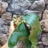 Kép 13/15 - Platycerium (stemaria × andinum) 'NUK'