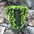 Kép 4/5 - Senecio Rowleyanus / Borsóka