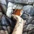Kép 3/6 - Decarya madagascariensis