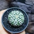 Kép 6/10 - Astrophytum Asterias "Super Kabuto"