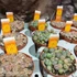 Kép 4/15 - Lithops - kavicskaktusz