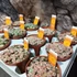 Kép 5/15 - Lithops - kavicskaktusz
