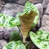 Kép 7/11 - Dracaena goldieana
