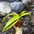 Kép 1/5 - Sansevieria katana 'Variegata'