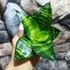 Kép 4/5 - Sansevieria hahnii 'Tiger Star'