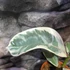 Kép 4/5 - Ficus elastica 'Tineke'