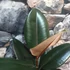 Kép 4/7 - Ficus Elastica 'Abidjan'