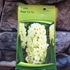 Kép 2/3 - Hyacinthus Orientalis fehér