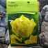 Kép 2/3 - Tulipa Double Early yellow