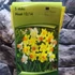 Kép 2/3 - Narcissus Large-Cupped mixed