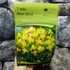 Kép 3/4 - Narcissus Cyclamineus