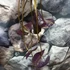 Kép 6/9 - Nymphaea hybrid - tavirózsa Taiwanról