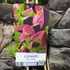 Kép 4/4 - Clematis alpina "Ruby