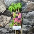 Kép 3/4 - Clematis alpina "Ruby