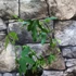 Kép 8/11 - Passiflora Panda