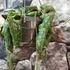 Kép 3/7 - Hoya imbricata