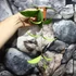 Kép 2/10 - Hoya phuwuaensis