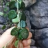 Kép 6/7 - Hoya Mathilde