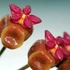 Kép 8/8 - Hoya soligamiana