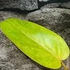 Kép 4/7 - Philodendron Painted Lady
