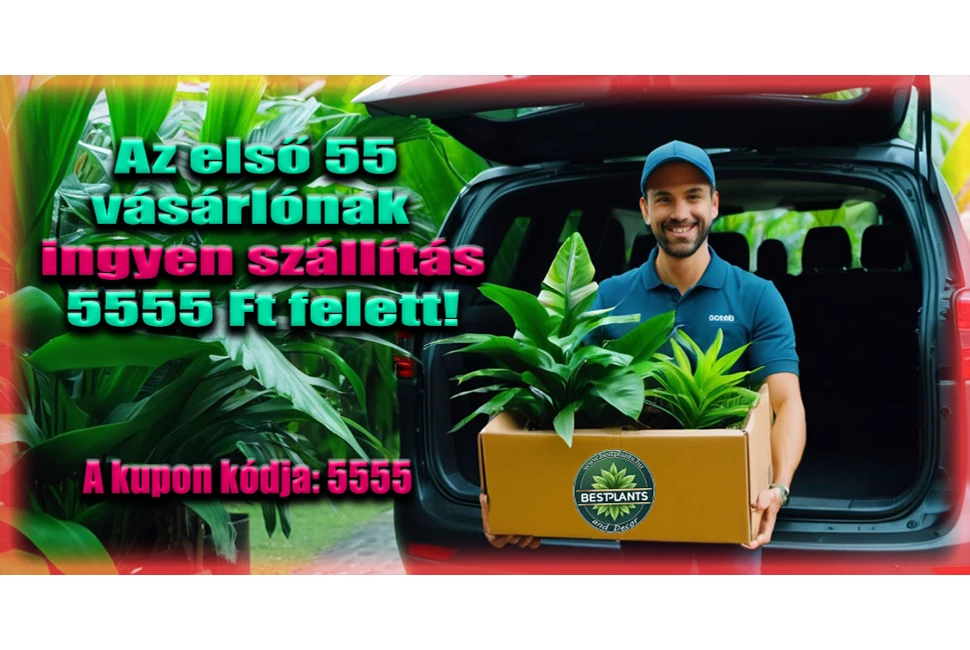 5555 202505