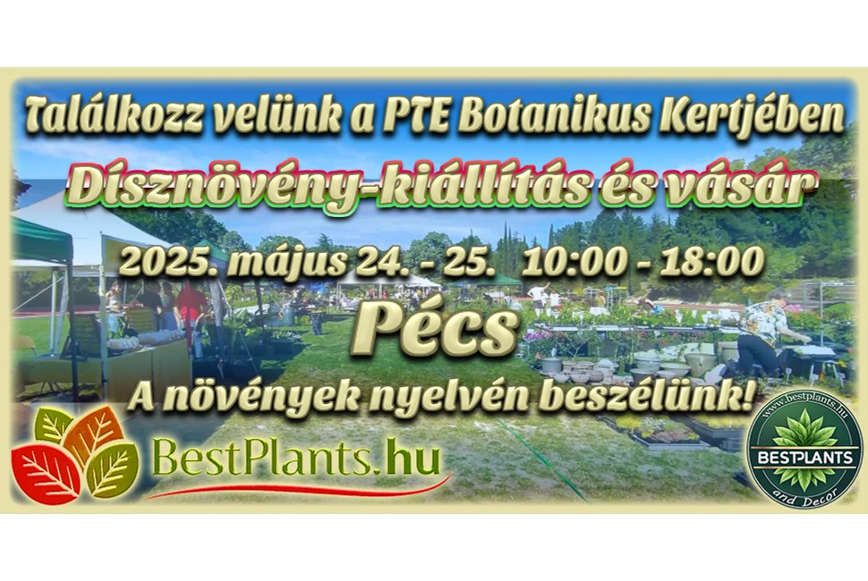 PTE2025