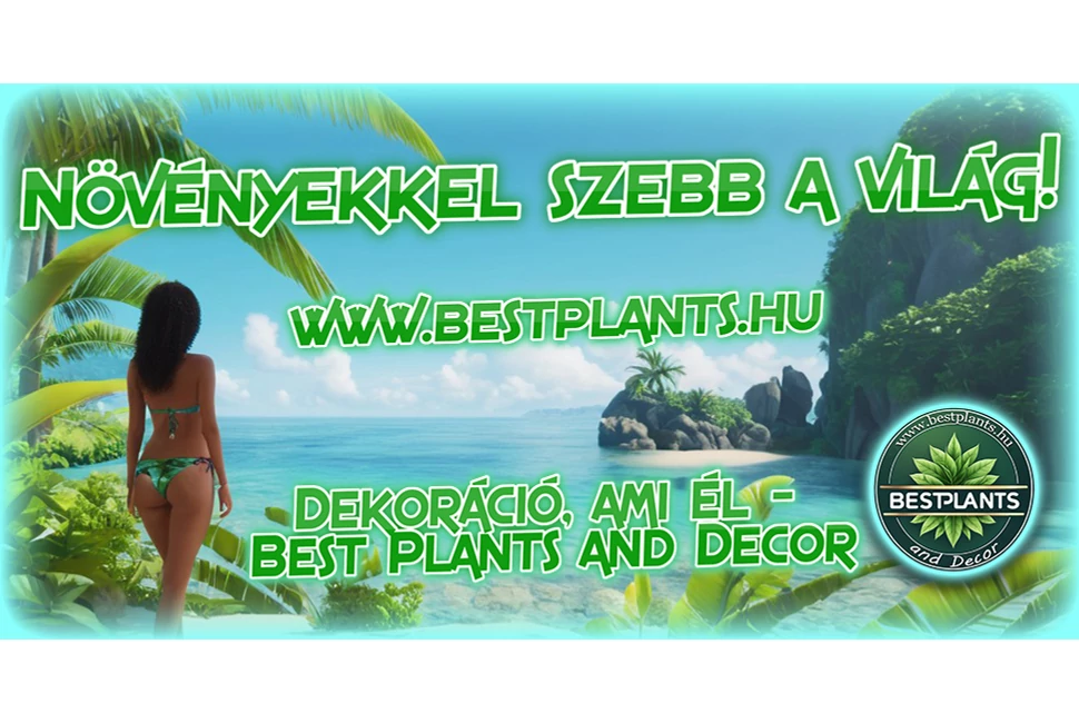 nyár