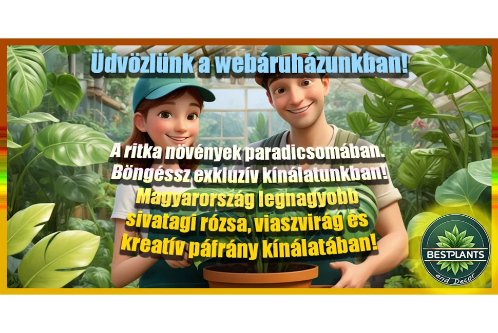 Üdv