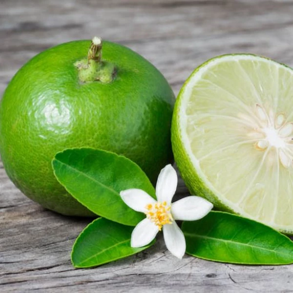 Citrus aurantiifolia - zöld Lime
