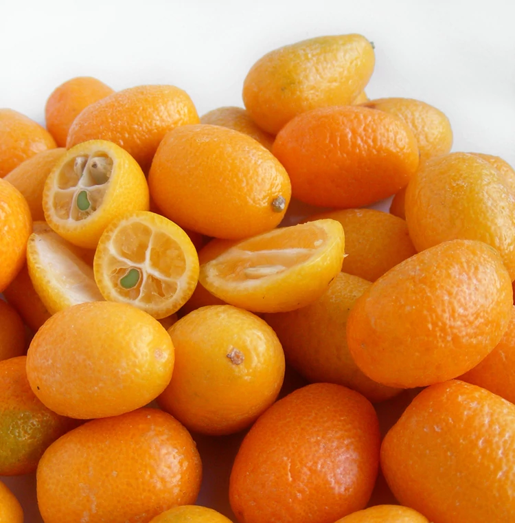 Citrus Fortunella margarita - kumquat