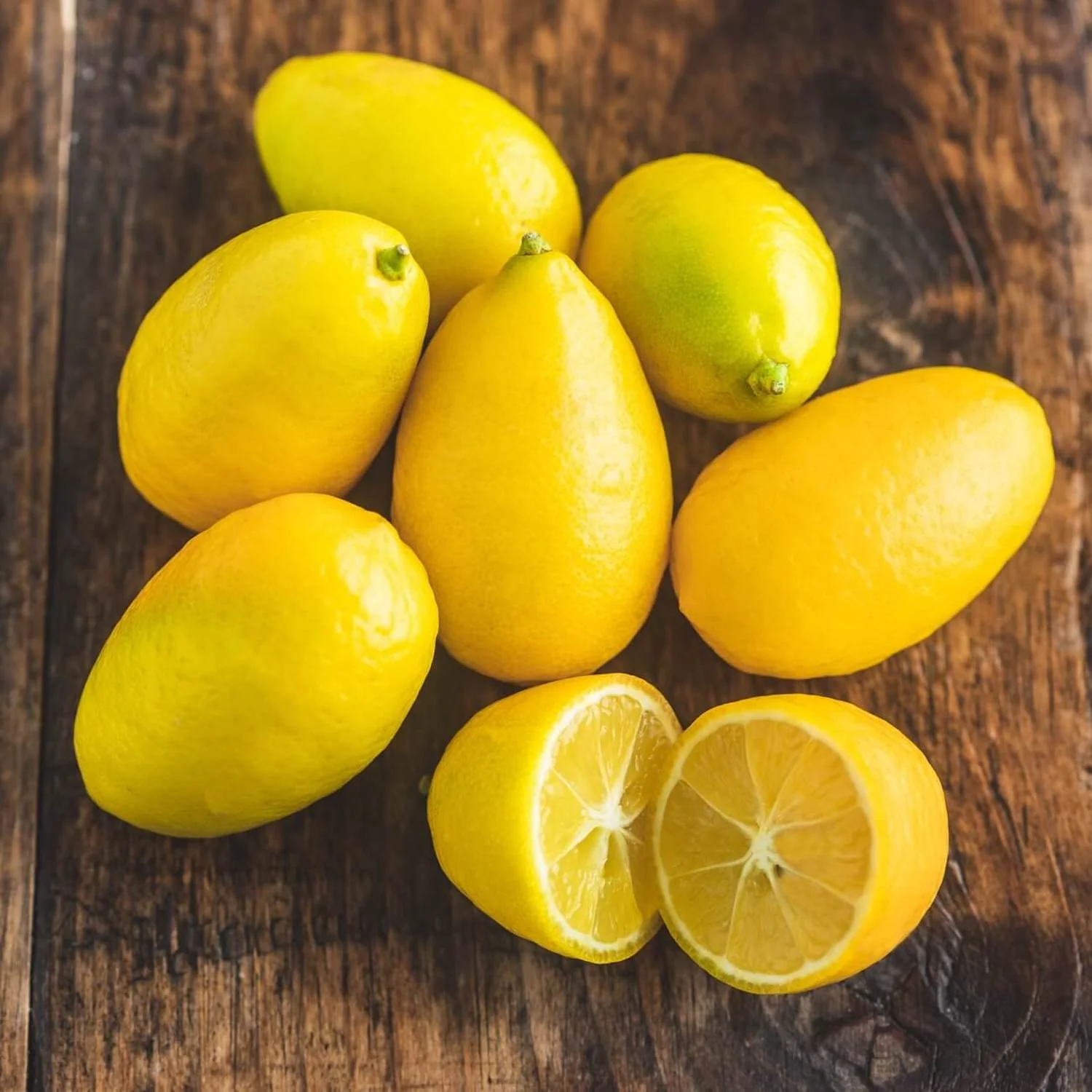 Citrofortunella x floridana - limequat