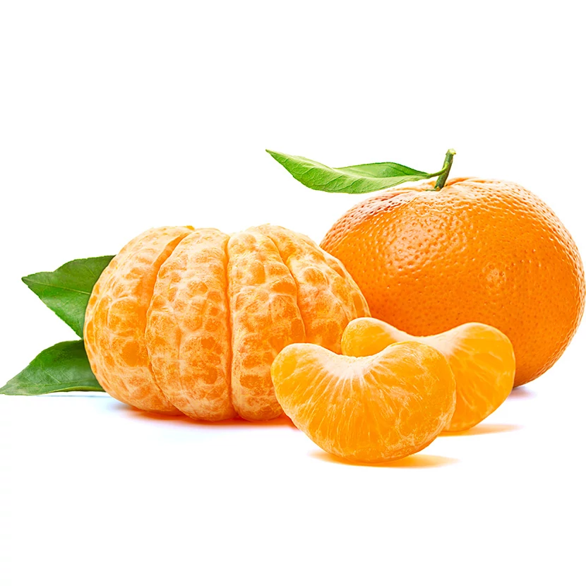 Citrus Reticulata / Mandarin